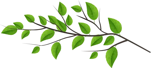 leaves 02 right